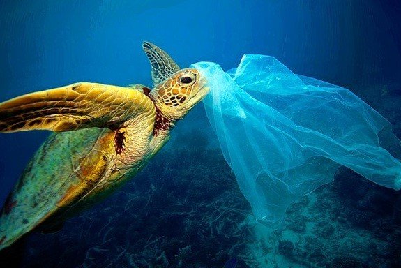 Her yıl okyanuslara 6 milyar kg çöp atılıyor. Çoğu da plastik.